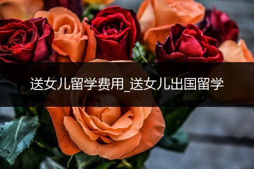 送女儿留学费用_送女儿出国留学