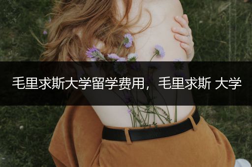 毛里求斯大学留学费用，毛里求斯 大学