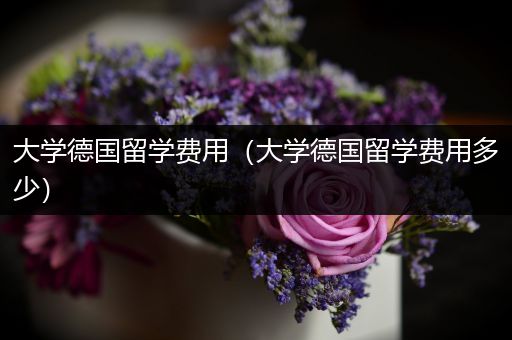 大学德国留学费用（大学德国留学费用多少）