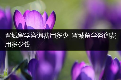 晋城留学咨询费用多少_晋城留学咨询费用多少钱