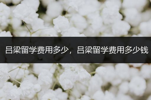 吕梁留学费用多少，吕梁留学费用多少钱