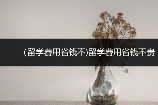 （留学费用省钱不)留学费用省钱不贵