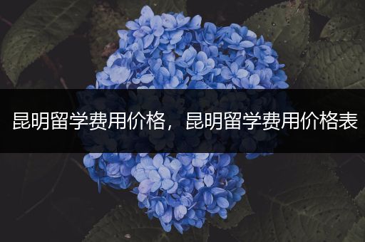 昆明留学费用价格，昆明留学费用价格表