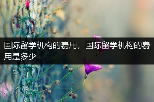 国际留学机构的费用，国际留学机构的费用是多少