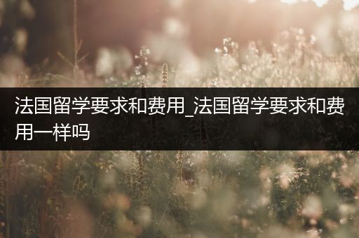 法国留学要求和费用_法国留学要求和费用一样吗
