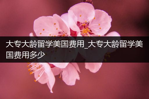 大专大龄留学美国费用_大专大龄留学美国费用多少