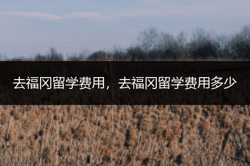 去福冈留学费用，去福冈留学费用多少