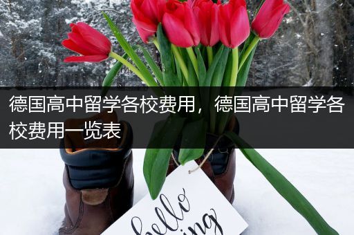 德国高中留学各校费用，德国高中留学各校费用一览表