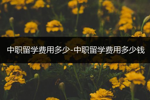 中职留学费用多少-中职留学费用多少钱