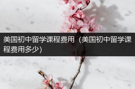 美国初中留学课程费用（美国初中留学课程费用多少）