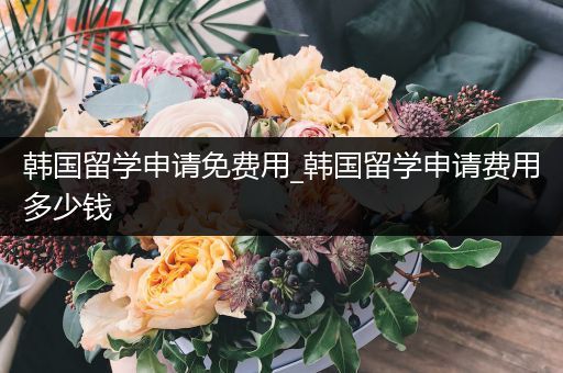 韩国留学申请免费用_韩国留学申请费用多少钱