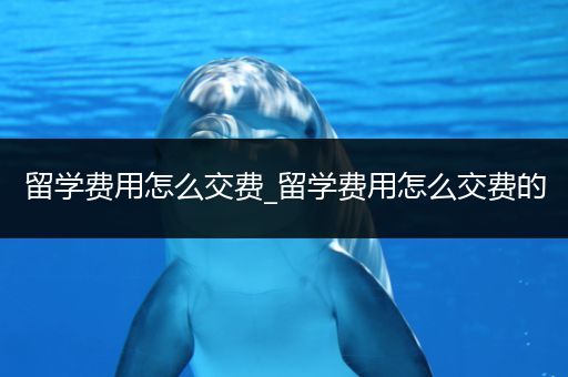 留学费用怎么交费_留学费用怎么交费的