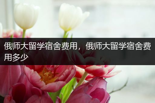 俄师大留学宿舍费用，俄师大留学宿舍费用多少