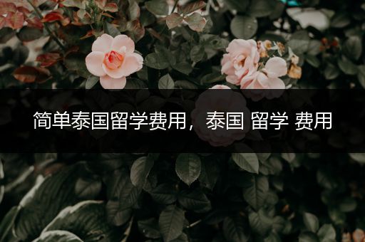 简单泰国留学费用，泰国 留学 费用