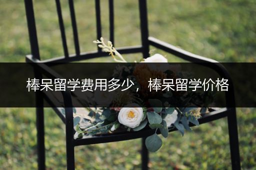 棒呆留学费用多少，棒呆留学价格