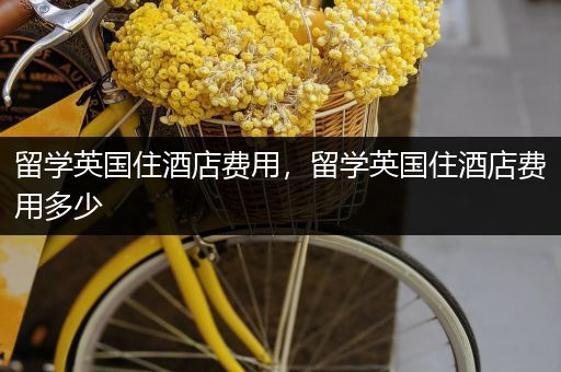 留学英国住酒店费用，留学英国住酒店费用多少