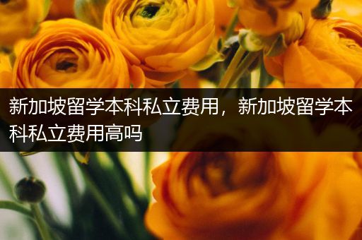 新加坡留学本科私立费用，新加坡留学本科私立费用高吗