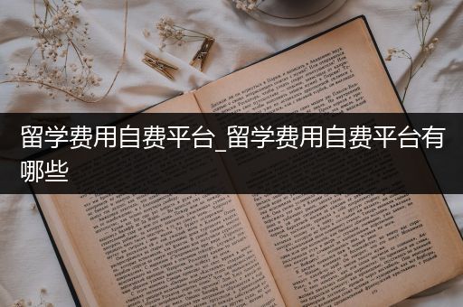 留学费用自费平台_留学费用自费平台有哪些