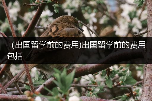 （出国留学前的费用)出国留学前的费用包括