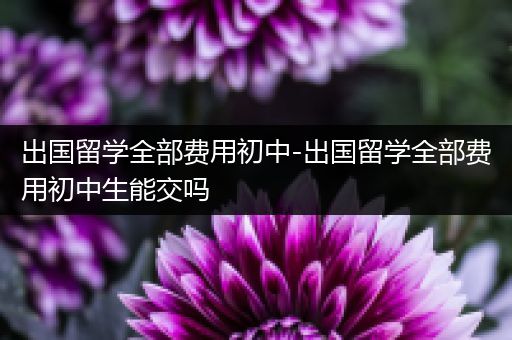 出国留学全部费用初中-出国留学全部费用初中生能交吗