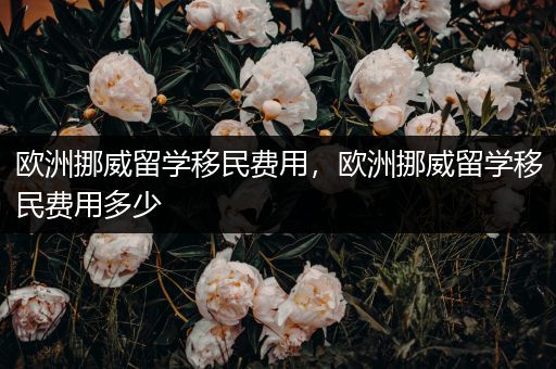 欧洲挪威留学移民费用，欧洲挪威留学移民费用多少