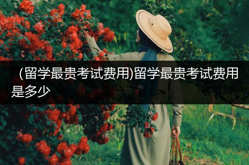 （留学最贵考试费用)留学最贵考试费用是多少