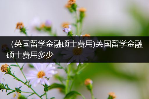（英国留学金融硕士费用)英国留学金融硕士费用多少