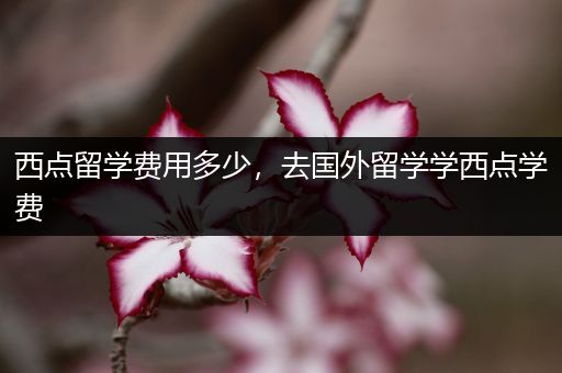 西点留学费用多少，去国外留学学西点学费
