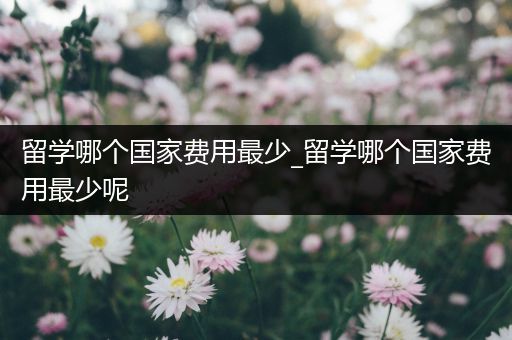 留学哪个国家费用最少_留学哪个国家费用最少呢