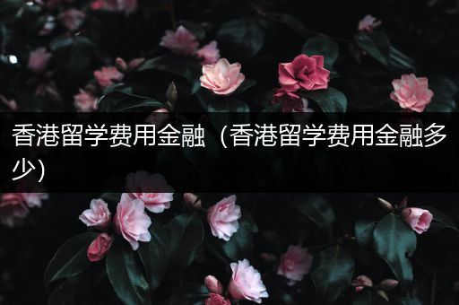 香港留学费用金融（香港留学费用金融多少）