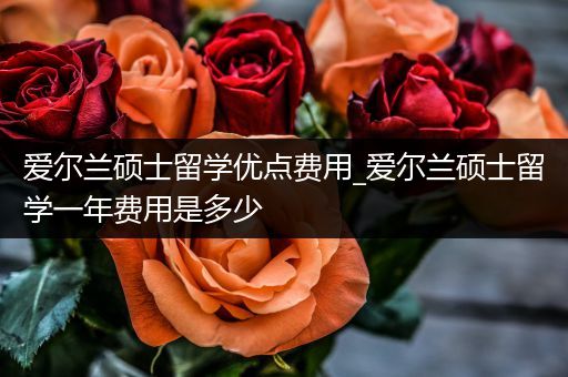 爱尔兰硕士留学优点费用_爱尔兰硕士留学一年费用是多少