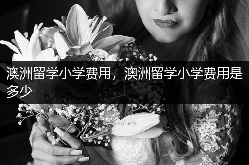 澳洲留学小学费用，澳洲留学小学费用是多少
