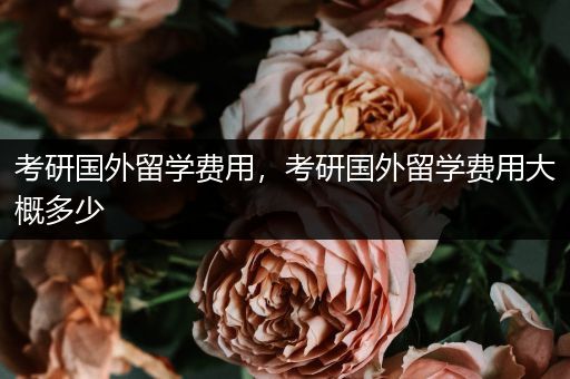 考研国外留学费用，考研国外留学费用大概多少