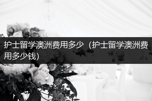 护士留学澳洲费用多少（护士留学澳洲费用多少钱）