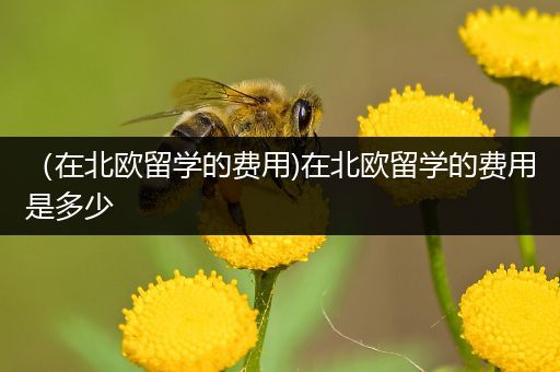 （在北欧留学的费用)在北欧留学的费用是多少