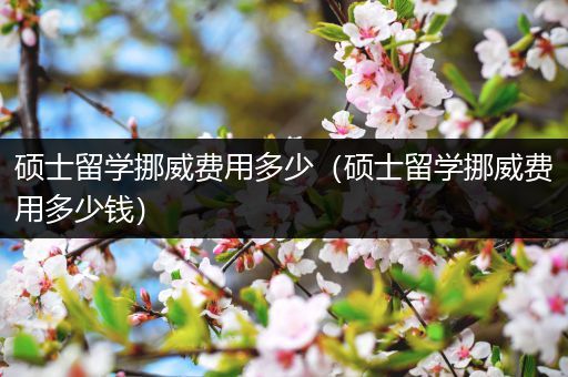 硕士留学挪威费用多少（硕士留学挪威费用多少钱）