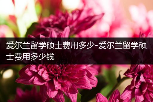 爱尔兰留学硕士费用多少-爱尔兰留学硕士费用多少钱