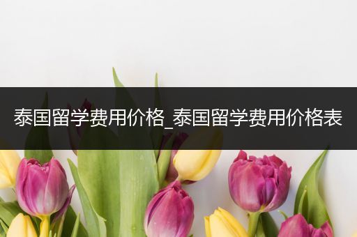 泰国留学费用价格_泰国留学费用价格表