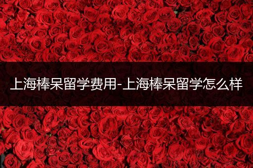 上海棒呆留学费用-上海棒呆留学怎么样
