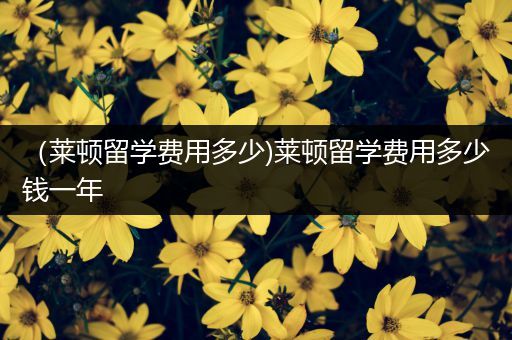 （莱顿留学费用多少)莱顿留学费用多少钱一年