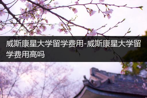 威斯康星大学留学费用-威斯康星大学留学费用高吗