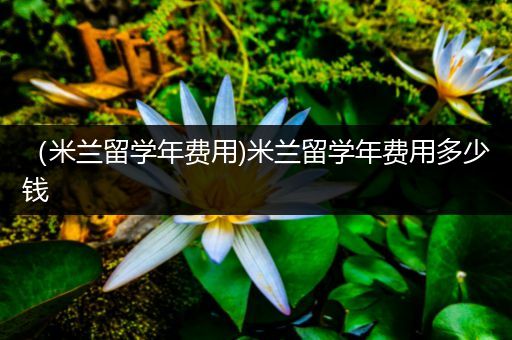（米兰留学年费用)米兰留学年费用多少钱