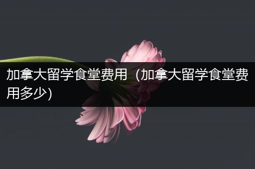 加拿大留学食堂费用（加拿大留学食堂费用多少）