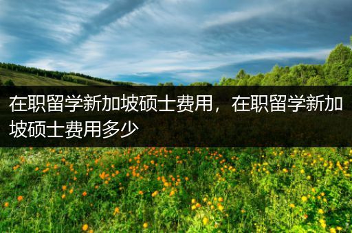在职留学新加坡硕士费用，在职留学新加坡硕士费用多少