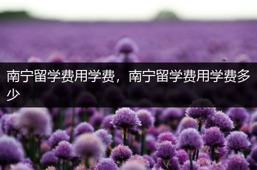 南宁留学费用学费，南宁留学费用学费多少