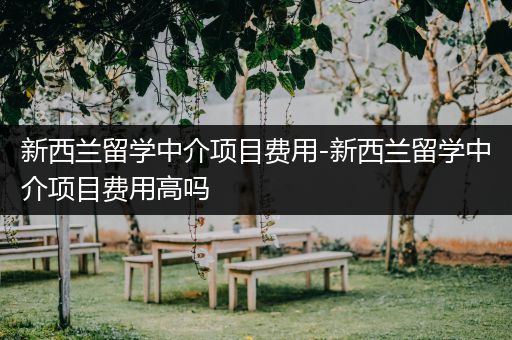 新西兰留学中介项目费用-新西兰留学中介项目费用高吗