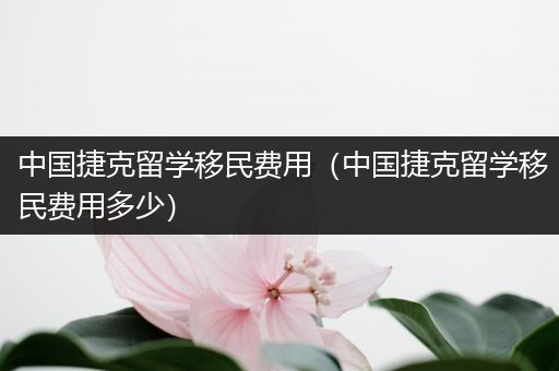中国捷克留学移民费用（中国捷克留学移民费用多少）