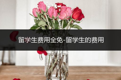 留学生费用全免-留学生的费用