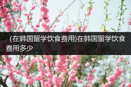 （在韩国留学饮食费用)在韩国留学饮食费用多少