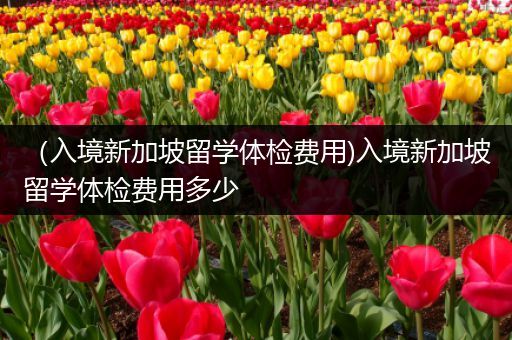 （入境新加坡留学体检费用)入境新加坡留学体检费用多少